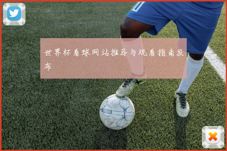 世界杯看球网站推荐与观看指南发布
