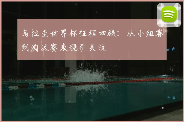 乌拉圭世界杯征程回顾：从小组赛到淘汰赛表现引关注
