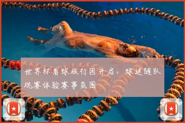 世界杯看球旅行团开启,球迷随队观赛体验赛事氛围